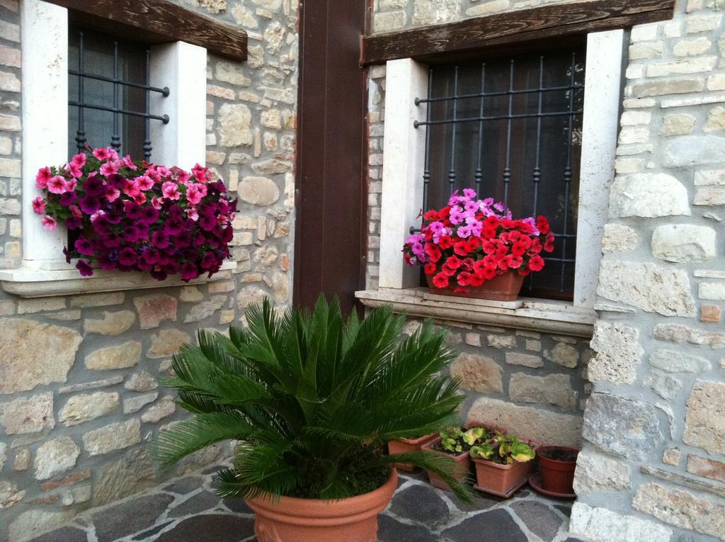 אסקולי פיצ'נו Agriturismo La Cantina מראה חיצוני תמונה
